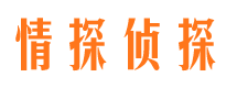 仙桃市调查公司